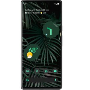 Google Pixel 6 Pro -(Desbloqueado) - 128GB - Stormy Black - Fair