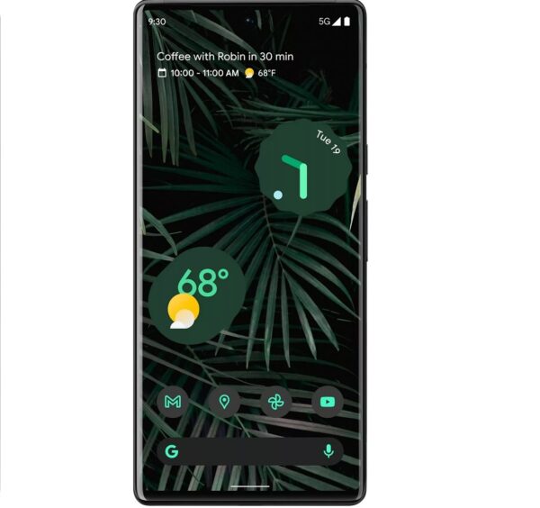Google Pixel 6 Pro -(Desbloqueado) - 128GB - Stormy Black - Fair